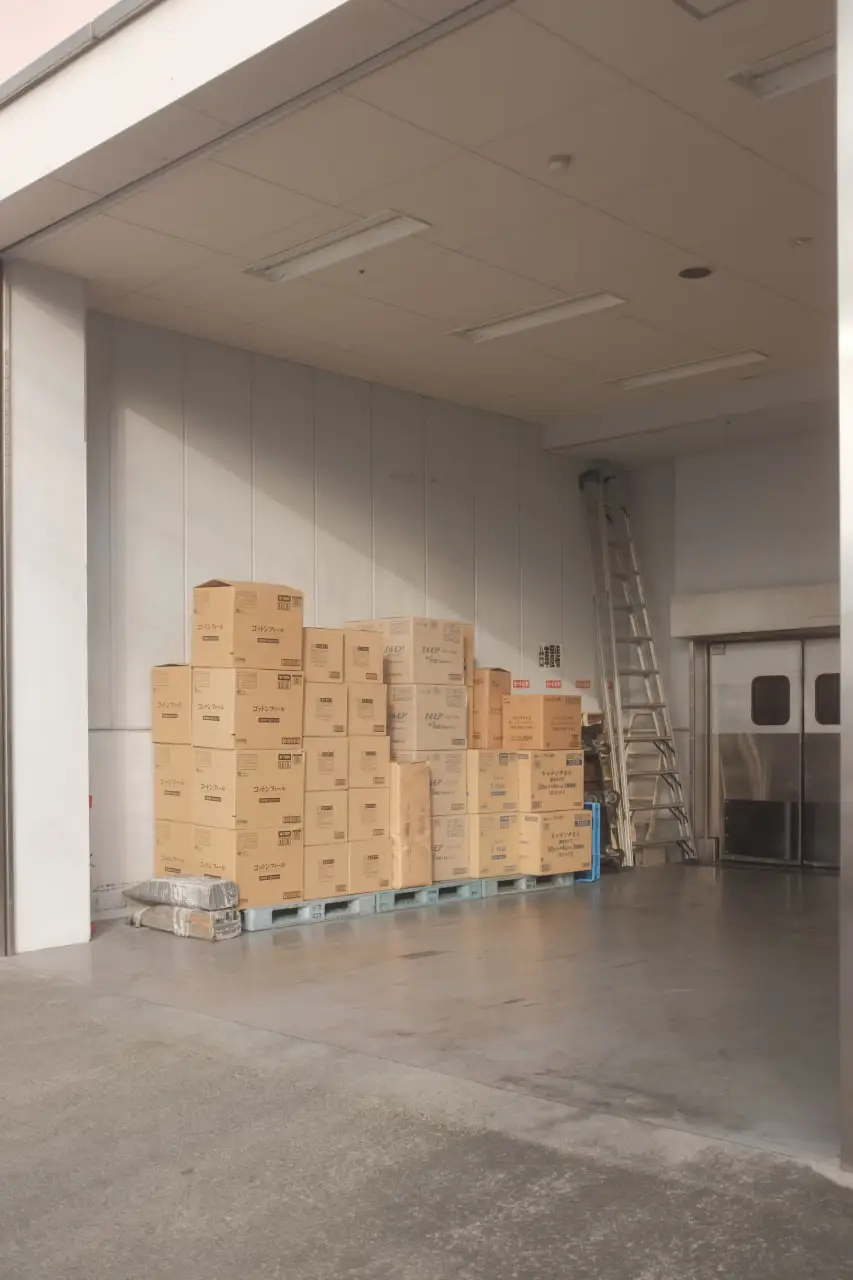 New arrivals