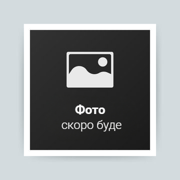Зображення скоро буде